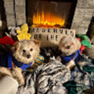 Meet your Posher, Meli